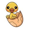 Cute little duck cartoon hatching from egg Royalty Free Stock Photo
