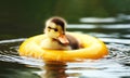Cute little duckling floating in water with yellow lifebuoy