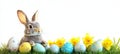 Cute Little Easter Bunny Relaxing In Green Grass Surrounded By Dyed Easter Eggs And Daffidols Royalty Free Stock Photo