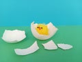 Cute little easter chick hatching on a green and blue background Royalty Free Stock Photo