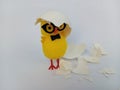Cute little easter chick just hatched wearing glasses on a white background