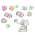 Cute little elephant with coorful soap bubble blowing on trunk is sitting. Watercolor hand drawn illustration in cartoon children