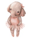 Cute little elephant girl with ballerina`s dress