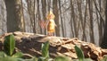 A cute little elf is resting and walking in the summer sunny green forest. Fairy elven magic concept. View of a fairy