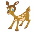 Cute little fawn Royalty Free Stock Photo