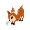 Cute little fawn character sniffing flower vector Illustration on a white background