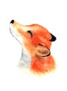Cute little fox face. Watercolor. Royalty Free Stock Photo