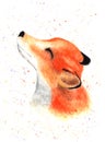 Cute little fox face. Watercolor. Royalty Free Stock Photo