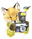 Cute little fox. Watercolor fox. Royalty Free Stock Photo