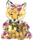 Cute little fox. Watercolor fox. Royalty Free Stock Photo