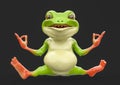 Cute little frog is doing a relexed yoga pose isolated Royalty Free Stock Photo