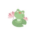 A cute little frog sitting on a water lily leaf. Royalty Free Stock Photo