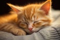 Cute little ginger kitten sleeping on the bed. Shallow depth of field, Gigner kitten sleeping, AI Generated