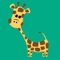A cute little giraffe