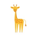 Cute little giraffe in standing pose isolated on white background.