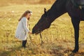 Cute little girl in a autumn field with horse Royalty Free Stock Photo