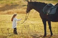 Cute little girl in a autumn field with horse Royalty Free Stock Photo