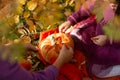 Cute little girl in autumn park with orange color leaves and yellow pumpkin. Royalty Free Stock Photo