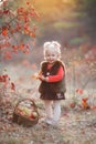 Cute little girl with a basket of red apples in the fall in the park Royalty Free Stock Photo