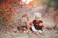 Cute little girl with a basket of red apples in the fall in the park Royalty Free Stock Photo