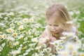 Cute little girl in big camomile meadow Royalty Free Stock Photo