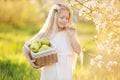 Cute little girl in blooming apple tree garden Royalty Free Stock Photo