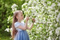 Cute little girl in blooming apple tree garden at spring Royalty Free Stock Photo