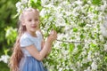 Cute little girl in blooming apple tree garden at spring