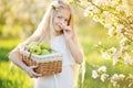 Cute little girl in blossom apple tree garden Royalty Free Stock Photo