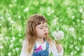 Cute little girl blowing dandelion on the flower meadow, happy childhood concept Royalty Free Stock Photo