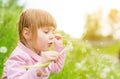 Cute little girl blowing off dandelions Royalty Free Stock Photo