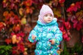 cute little girl in the blue jacket on the background of red vine leaves Royalty Free Stock Photo