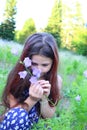 A cute little girl in a blue romper enjoying the scent of field violet bluebells Royalty Free Stock Photo