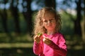 Cute little girl carefully examines the green leaf, serious look, curly hair, sunny summer portrait Royalty Free Stock Photo