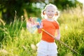 Cute little girl catching butterflies and bugs with her scoop-net Royalty Free Stock Photo