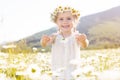 Cute little girl in the chamomile field Royalty Free Stock Photo