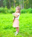 Cute little girl child with bouquet chamomiles flowers in summer Royalty Free Stock Photo