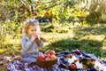 Cute little girl child eating ripe organic red apple in the Apple Orchard with a basket of apples in autumn. Fair curly haired Royalty Free Stock Photo