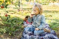 Cute little girl child eating ripe organic red apple in the Apple Orchard with a basket of apples in autumn. Fair curly haired Royalty Free Stock Photo