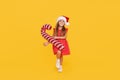 A cute little girl child in a fancy dress and a Santa hat holds an inflatable shape of a candy cane on a yellow background. 2021 Royalty Free Stock Photo