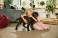 Cute little girl, child playing with purebred dog, brown labrador at home. Lovely hugs. Favorite animal Royalty Free Stock Photo