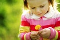 Cute little girl with dandelion Royalty Free Stock Photo