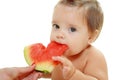 Cute little girl eat watermelon slice Royalty Free Stock Photo