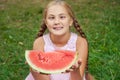 Cute little girl eating watermelon on the grass in summer time. with ponytail long hair and toothy smile sitting on grass and enjo Royalty Free Stock Photo