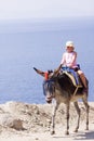 Cute little girl is enjoying her donkey ride by the ocean