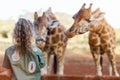 Cute little girl feeding giraffes in Africa Royalty Free Stock Photo