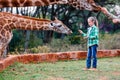 Cute little girl feeding giraffes in Kenya Royalty Free Stock Photo