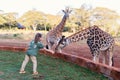 Cute little girl feeding giraffes Royalty Free Stock Photo