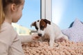 Cute little girl feeding her dog near window at home, closeup. Childhood pet Royalty Free Stock Photo