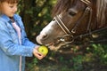 Cute little girl feeding her pony in green park Royalty Free Stock Photo